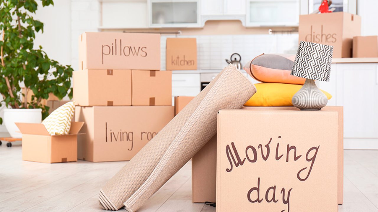 boxes for moving day